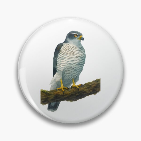 Item preview, Northern Goshawk (Accipiter gentilis laingi) designed and sold by HOMETOWN86.