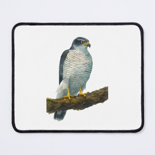 Item preview, Northern Goshawk (Accipiter gentilis laingi) designed and sold by HOMETOWN86.