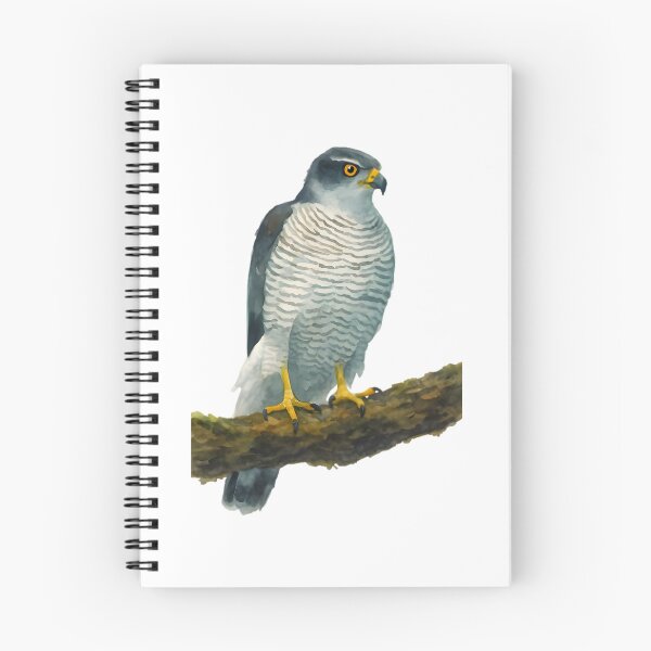 Item preview, Northern Goshawk (Accipiter gentilis laingi) designed and sold by HOMETOWN86.