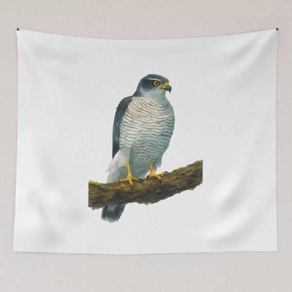 Item preview, Northern Goshawk (Accipiter gentilis laingi) designed and sold by HOMETOWN86.