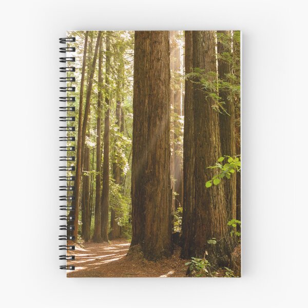 Item preview, Sunlit Redwoods designed and sold by tomiko-02.