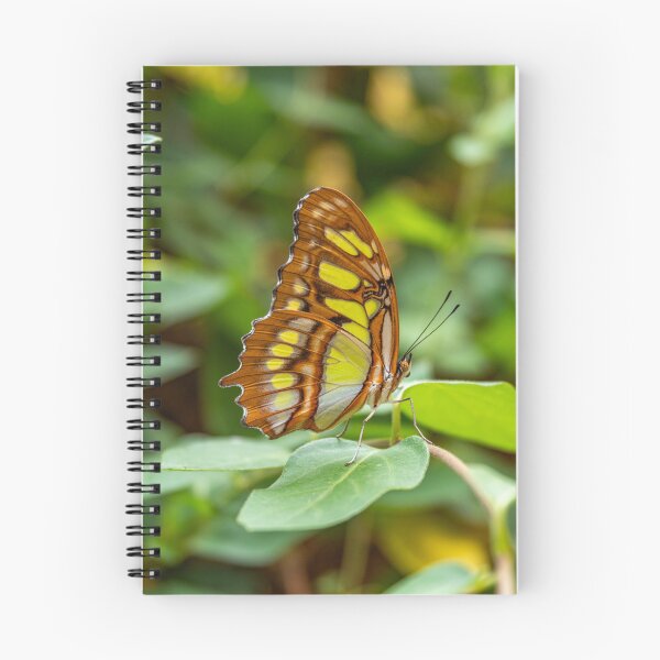 Item preview, Malachite Butterfly in a Green Forest designed and sold by Peter Milota Studio.