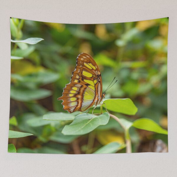 Item preview, Malachite Butterfly in a Green Forest designed and sold by Peter Milota Studio.