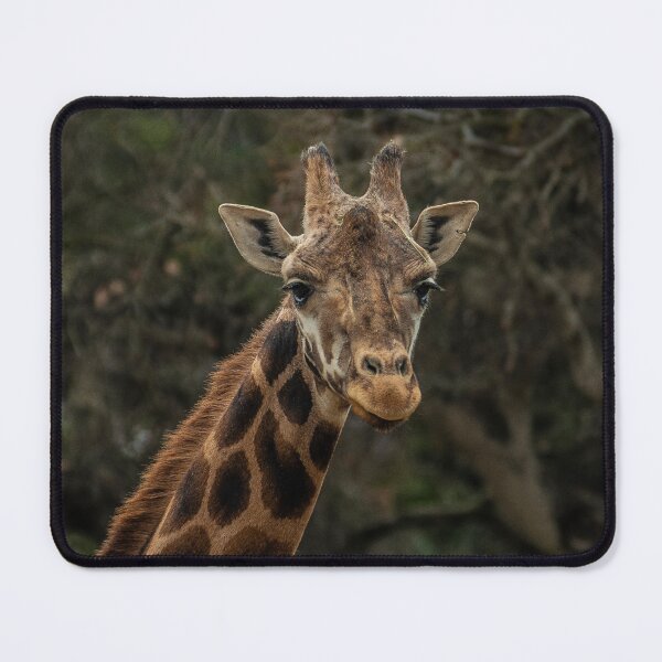Item preview, African Awesome Giraffe Close-Up Art Photo designed and sold by DEC02.
