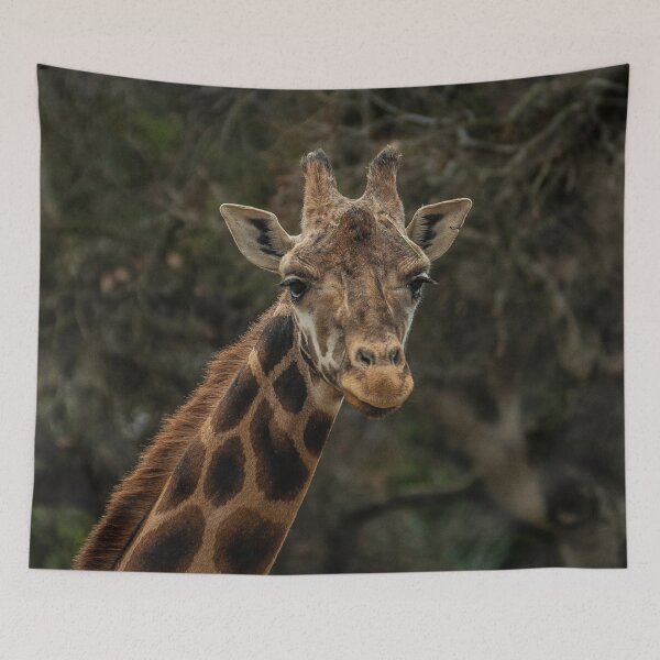 Item preview, African Awesome Giraffe Close-Up Art Photo designed and sold by DEC02.