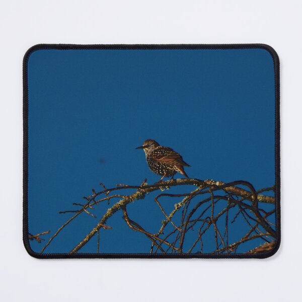 Item preview, European Starling on Dead Tree designed and sold by gistinker.