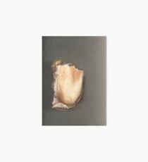 scanned sandwich Art Board