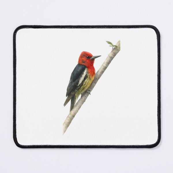 Item preview, Red-breasted Sapsucker (Sphyrapicus ruber) designed and sold by HOMETOWN86.