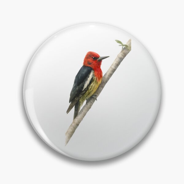Item preview, Red-breasted Sapsucker (Sphyrapicus ruber) designed and sold by HOMETOWN86.