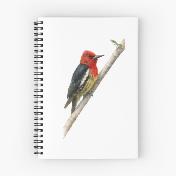 Item preview, Red-breasted Sapsucker (Sphyrapicus ruber) designed and sold by HOMETOWN86.