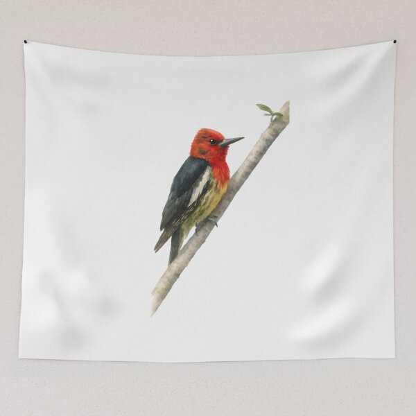 Item preview, Red-breasted Sapsucker (Sphyrapicus ruber) designed and sold by HOMETOWN86.