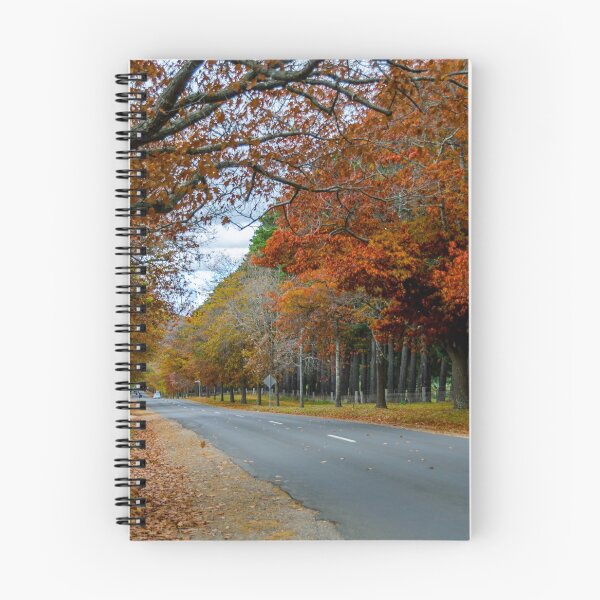 Item preview, Honour Avenue - Mount Macedon designed and sold by House of Golden.