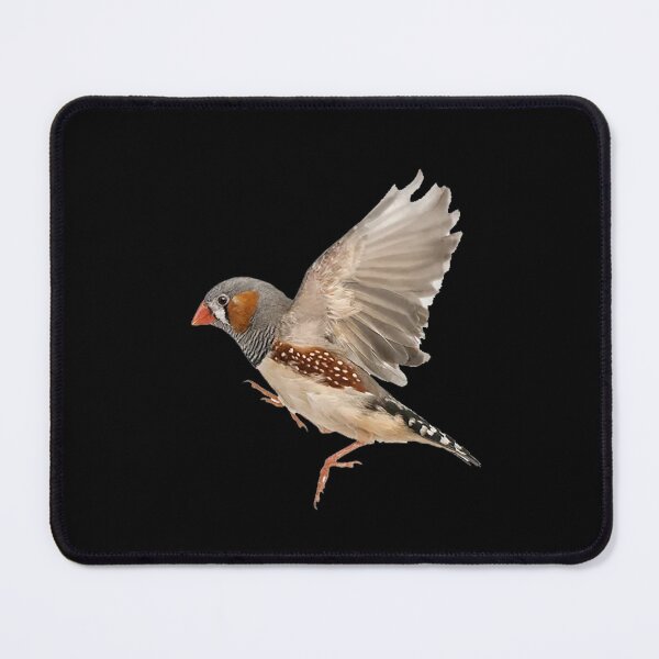 Item preview, Most Beautiful Birds Around the World designed and sold by KanteMcHexan.