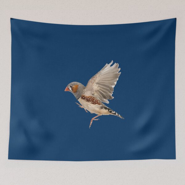 Item preview, Most Beautiful Birds Around the World designed and sold by KanteMcHexan.