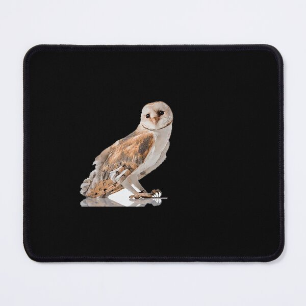 Item preview, Top 5 Colorful Birds to Spot This Season designed and sold by KanteMcHexan.
