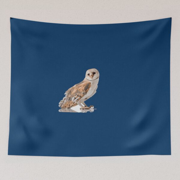 Item preview, Top 5 Colorful Birds to Spot This Season designed and sold by KanteMcHexan.