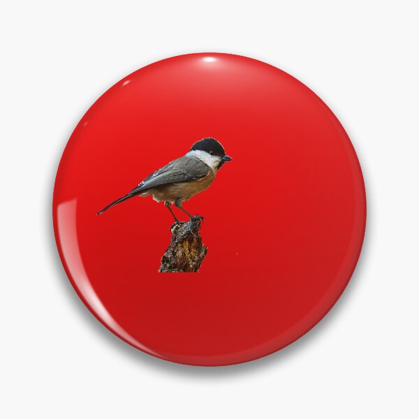 Item preview, Top 7 Backyard Birds You Can Feed Safely designed and sold by KanteMcHexan.