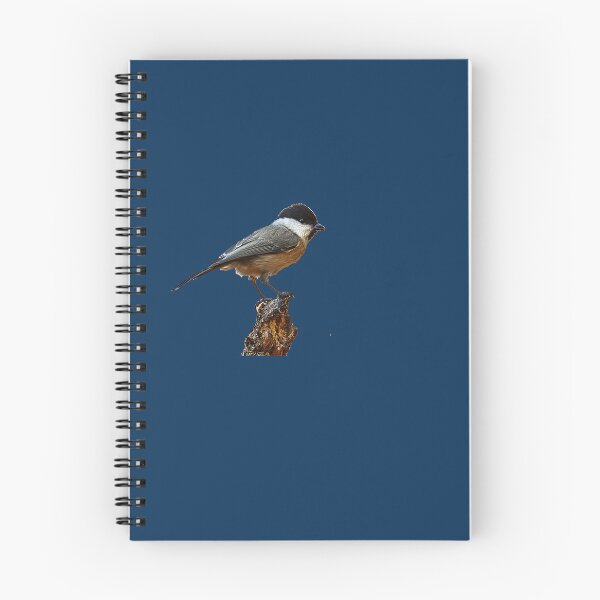 Item preview, Top 7 Backyard Birds You Can Feed Safely designed and sold by KanteMcHexan.