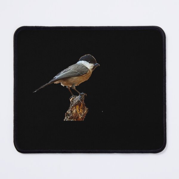 Item preview, Top 7 Backyard Birds You Can Feed Safely designed and sold by KanteMcHexan.