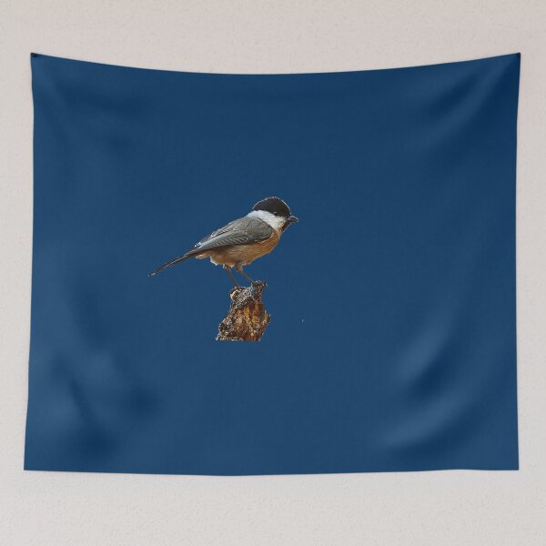 Item preview, Top 7 Backyard Birds You Can Feed Safely designed and sold by KanteMcHexan.