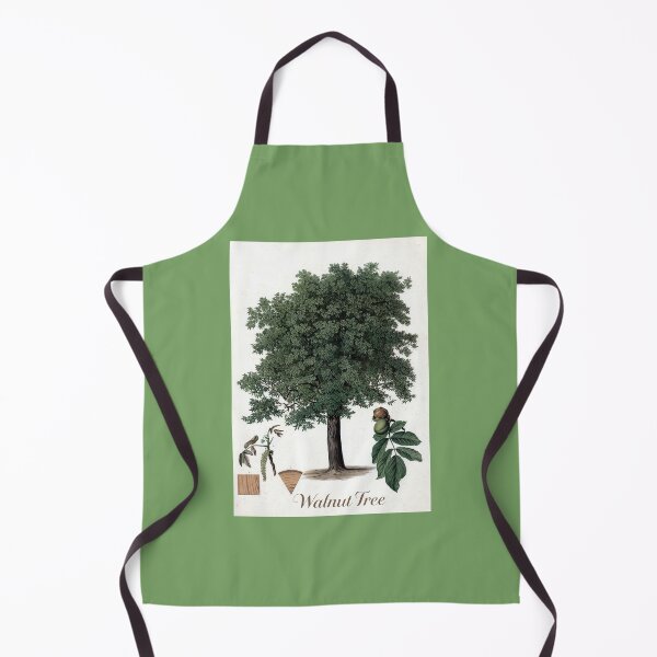Item preview, Botanical Print of a Walnut Tree designed and sold by Tridentulus.