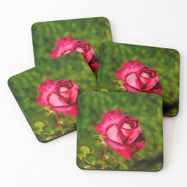 Item preview, red rose of spring  designed and sold by SilentlyRob668.