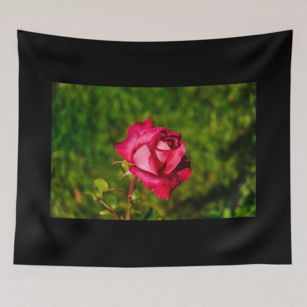Item preview, red rose of spring  designed and sold by SilentlyRob668.