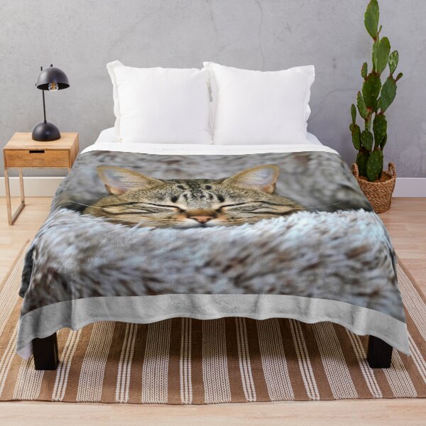 Item preview, The Great nap designed and sold by KAY Artists.
