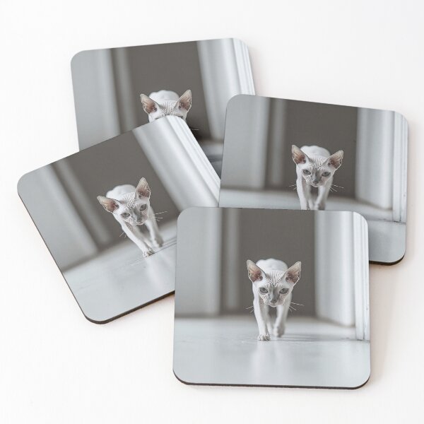 Item preview, White cat walks down the hallway designed and sold by anytka.