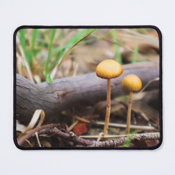 Item preview, Cystoderma Musciola Mushrooms in Eucalypt Forest designed and sold by Maddy the Maker.