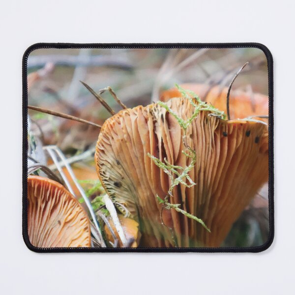 Item preview, Saffron Milkcap with Club Moss designed and sold by Maddy the Maker.
