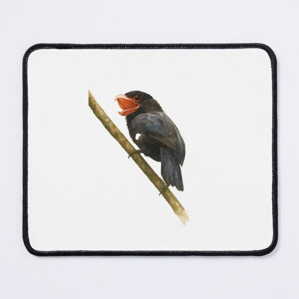 Item preview, Dusky Broadbill (Corydon sumatranus) designed and sold by HOMETOWN86.