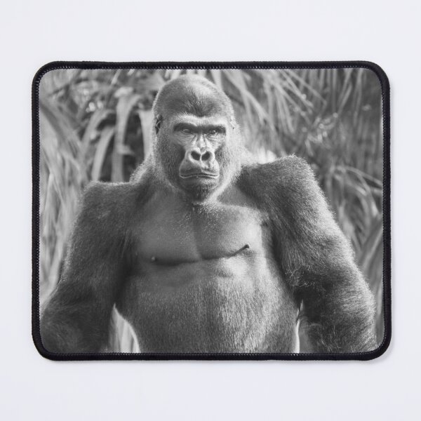 Item preview, Upright Strength – Lope’s Presence designed and sold by rawshutterbug.