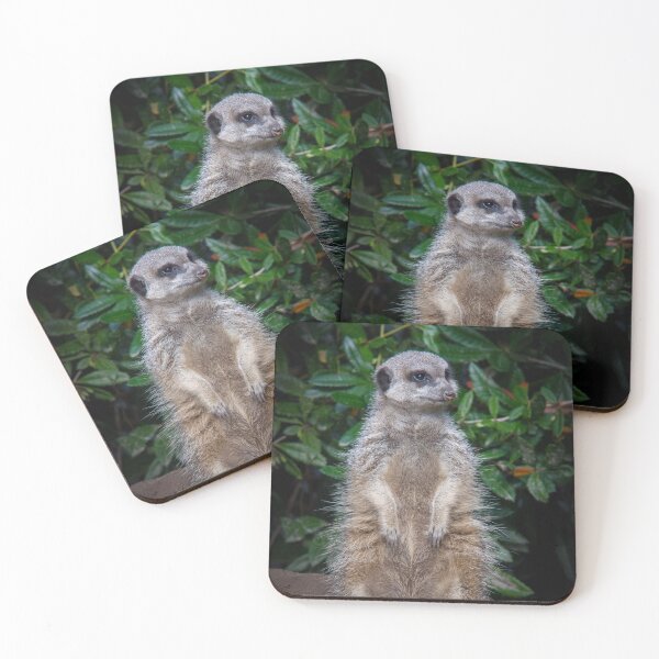 Item preview, Meerkat on the lookout designed and sold by Compusmurf Design.