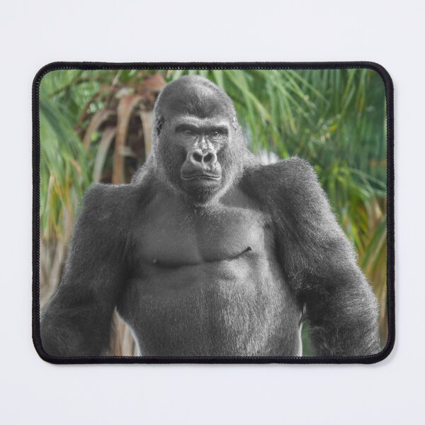 Item preview, Upright Strength – Lope’s Presence designed and sold by rawshutterbug.