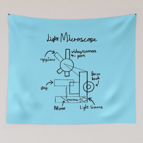 Item preview, Light Microscope Diagram designed and sold by chowlet.
