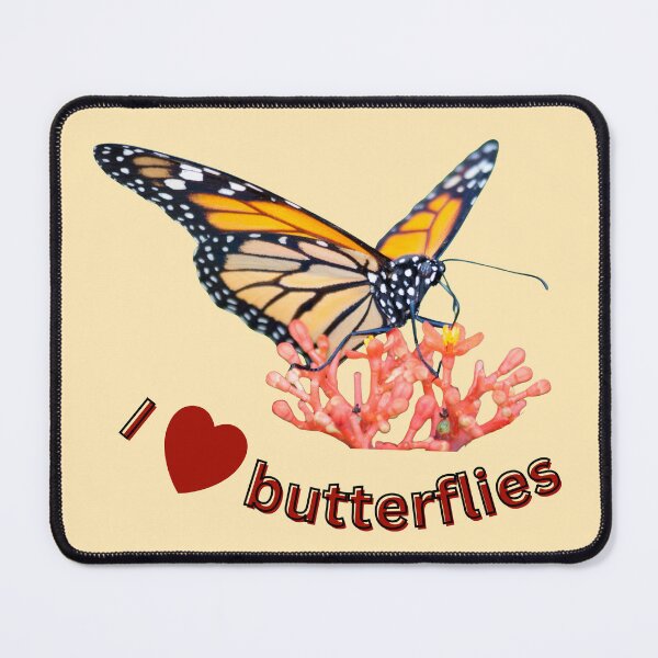 Item preview, Monarch butterflies – I love butterflies | Nature, lightness & joie de vivre designed and sold by Katja LebenFreude.