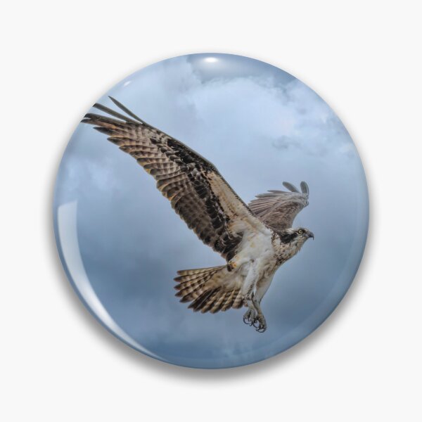 Item preview, Osprey taking flight on a cloudy day designed and sold by James Cumming.
