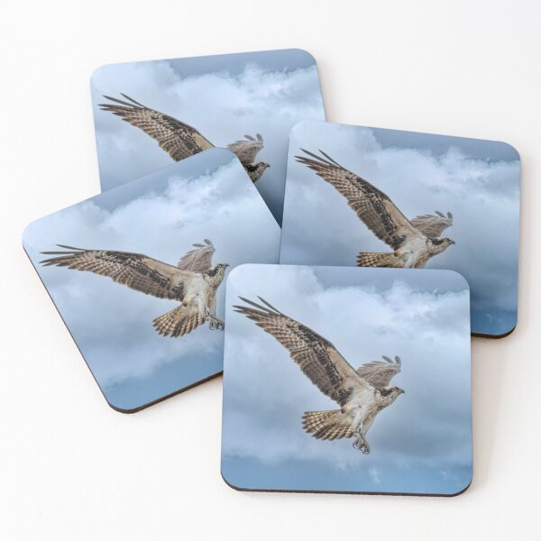 Item preview, Osprey taking flight on a cloudy day designed and sold by James Cumming.