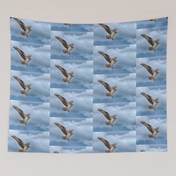 Item preview, Osprey taking flight on a cloudy day designed and sold by James Cumming.