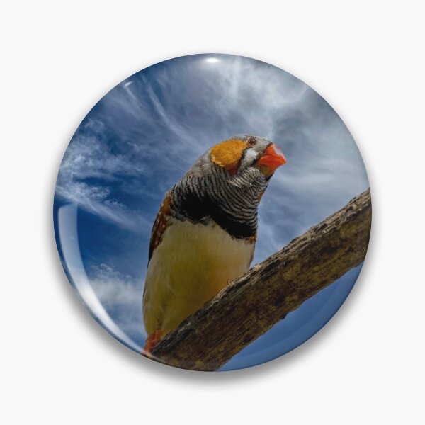 Item preview, Zebra finch on a branch designed and sold by Photopat.