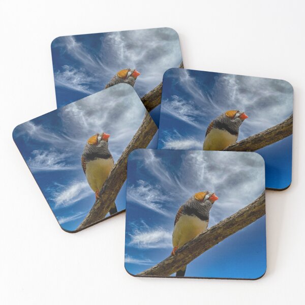 Item preview, Zebra finch on a branch designed and sold by Photopat.