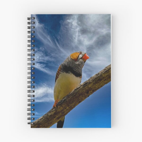 Item preview, Zebra finch on a branch designed and sold by Photopat.