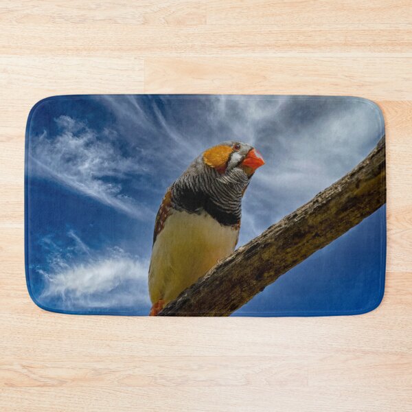 Item preview, Zebra finch on a branch designed and sold by Photopat.