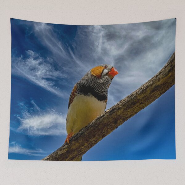 Item preview, Zebra finch on a branch designed and sold by Photopat.