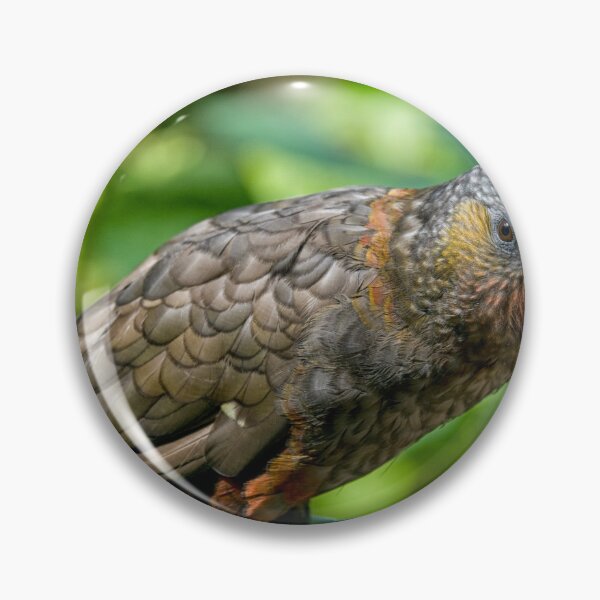 Item preview, Kaka designed and sold by Photopat.