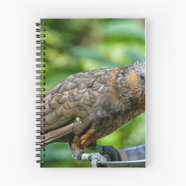 Item preview, Kaka designed and sold by Photopat.