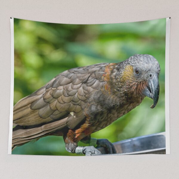 Item preview, Kaka designed and sold by Photopat.
