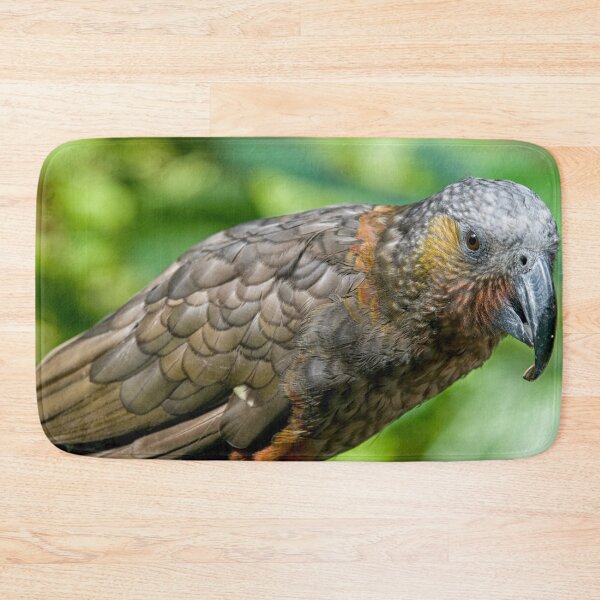 Item preview, Kaka designed and sold by Photopat.