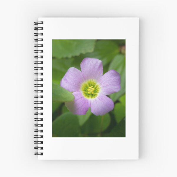 Item preview, Tinny pink flower designed and sold by juancalop.